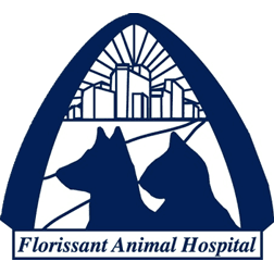 Florissant Animal