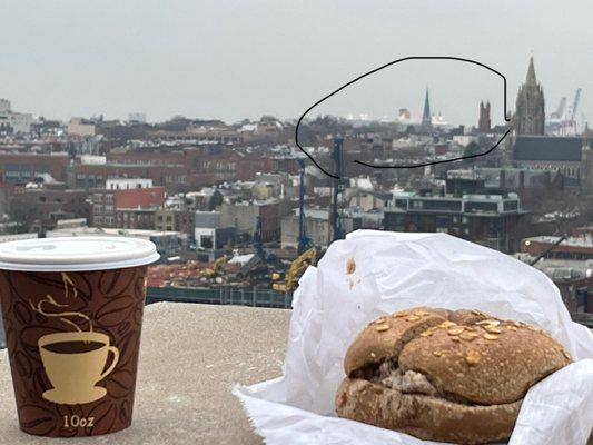 Whole grain bagel with luscious cinnamon, raisin, walnut cream cheese and a latte!