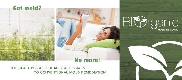 Biorganic Mold Removal