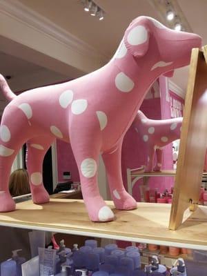 Pink dog