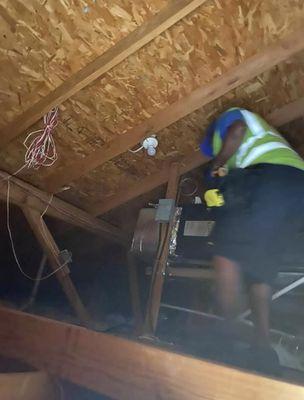 Attic Inspection