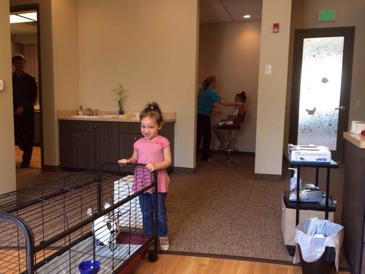 Jade playing with the bunny while Amy got xrays.