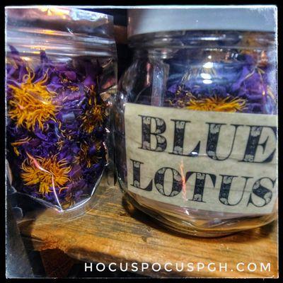 Authentic Egyptian Whole Flower Blue Lotus - always available & in stock!