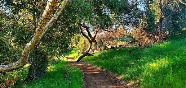 Hollenbeck Canyon Wildlife Area