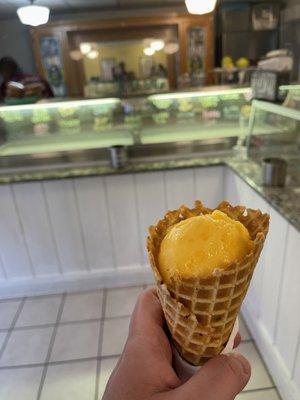 Mango Sorbet