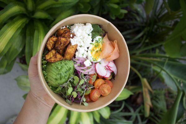 Farmhouse Brunch Bowl 

Spring greens, microherbs, cherry tomatoes, radish, pickled red onion, feta, sweet potato & free range hens egg