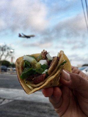 Watching the planes land while I eat my lengua taco.