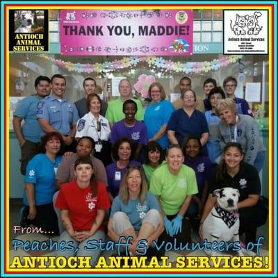 Volunteers at the shelter with staff for Maddies adoption event