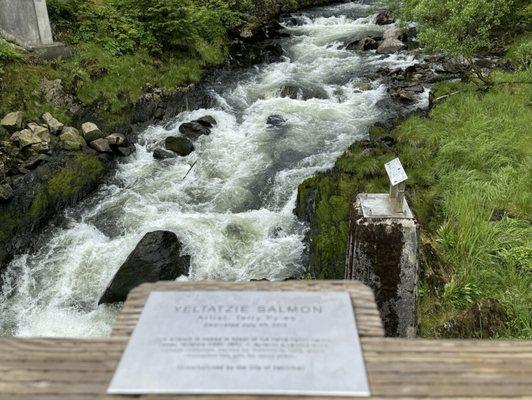 Beautiful gushing stream!