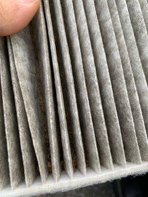 Dirty cabin air filter