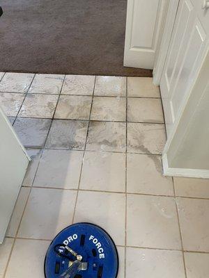 Tile and Grout Cleaning