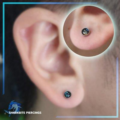 Pair of Lobes pierced by Lucina with Cabochon Titanium Glass ends by People's Jewelry!