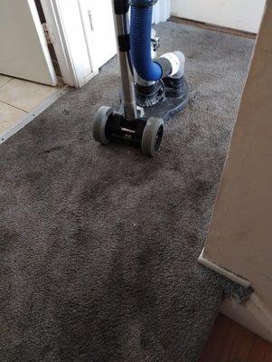 Carpet cleaning