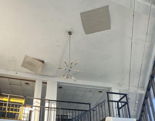 Ceilings in dining area