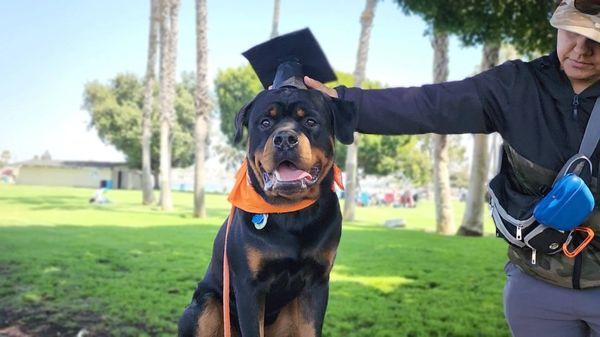 Dog School graduation photos!