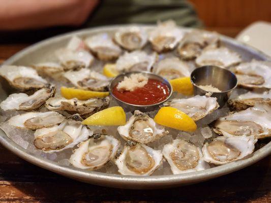 Oysters