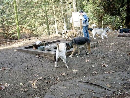 Nikki and Hank at the water fountain.