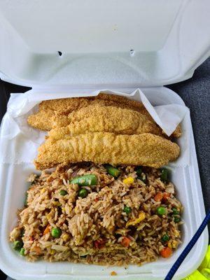 Catfish and fried rice