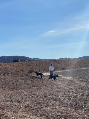 Off-leash desert walk with another dog.