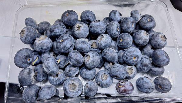 Jumbo blueberries from Target