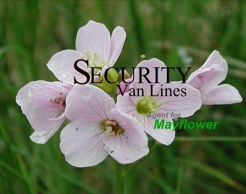 Security Van Lines