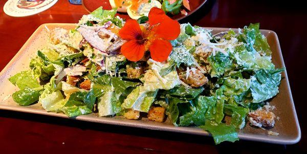 Noyo Cesar's salad with anchovies