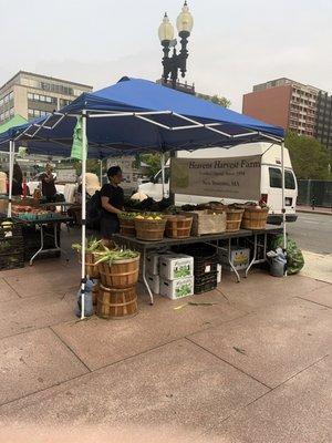 Fresh air and fresh fruit and vegetables!