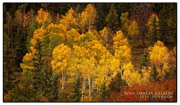 Autumn in Colorado