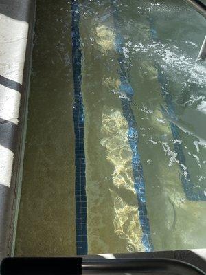 Filthy brown hot tub stairs.