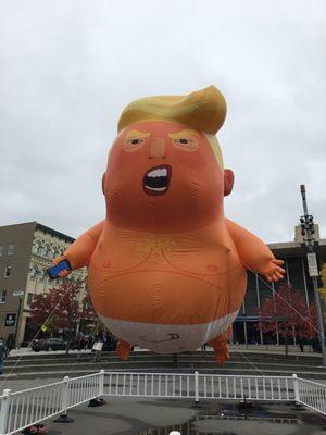 Baby Trump swung by GR!