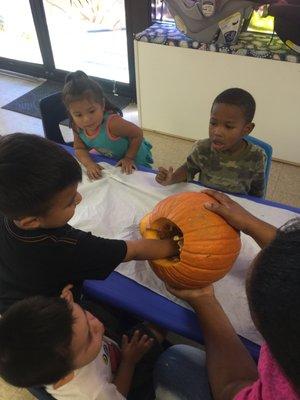 science/sensory/language and math- pumpkin exploration