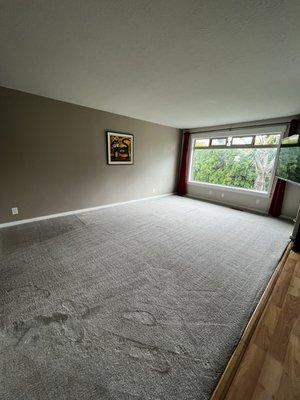 Super job! Easy to schedule, clear pricing, and excellent work to get carpet cleaned!