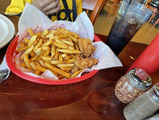 Chicken Tender  & Fries