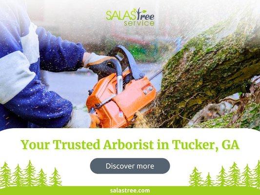 1_Salas Tree Service_Your Trusted Arborist in Tucker, GA.jpg