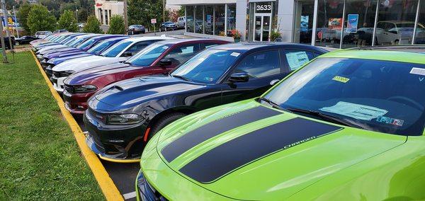 Dodge Lineup out front at Monroeville Dodge Ram.