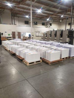 This is what 400,000 Christmas cards look like