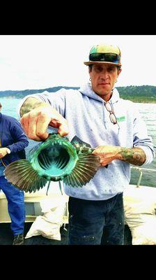 The Capt. holding a beautiful colored Ling Cod!