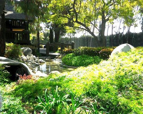 Nice pond, waterfall and bridge!