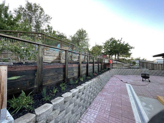 New retaining wall with hand rail, drip irrigation, plants, and bark.