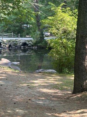 Fishing pond