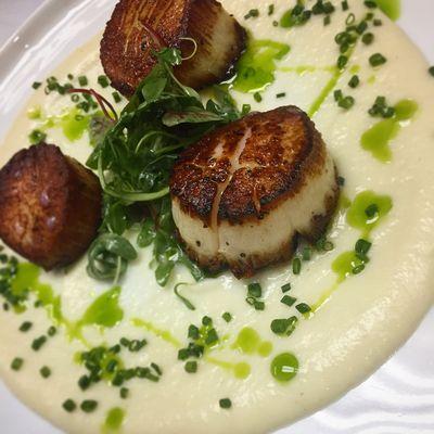 Scallops