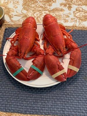 Twin Lobsters