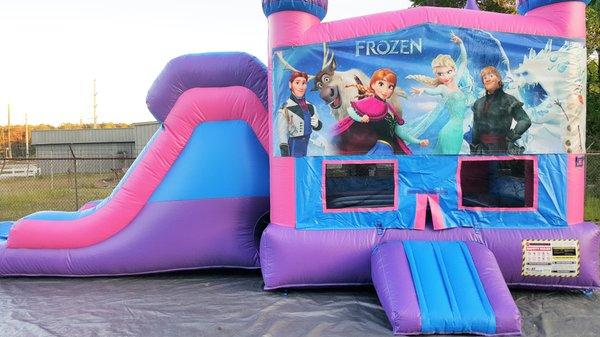 Frozen Water Slide Rental