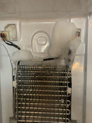 Ice in up on a refrigerator evaporator common trouble