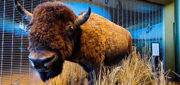 Rocky Flats Wildlife Refuge