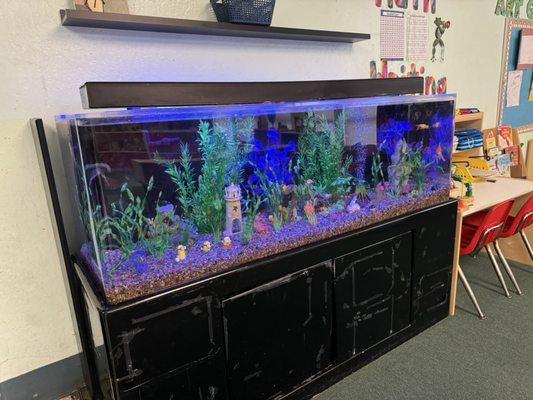 Class fish tank