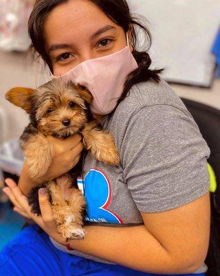 Our caring vet assistants go above and beyond to provide the best possible care to your pets!