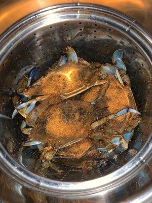 Supposed to be a dozen number 1 crabs in a pot.  Notice the pot is half full.  Usually number 1s fill the pot!