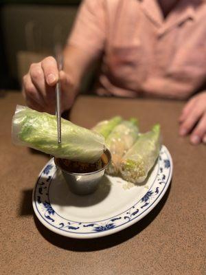 Vegetable Tofu Spring roll