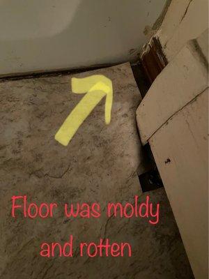 Moldy rotten floor and bathroom